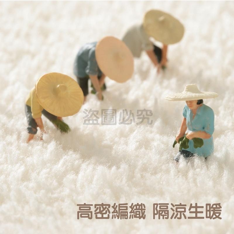 🔥加厚地墊🔥飯店地墊 羊羔絨床邊地墊 保暖地墊 羊羔絨地毯 加厚羊毛絨地墊 絨毛踏墊 沙發防滑墊 腳踏墊 北歐地墊-細節圖5