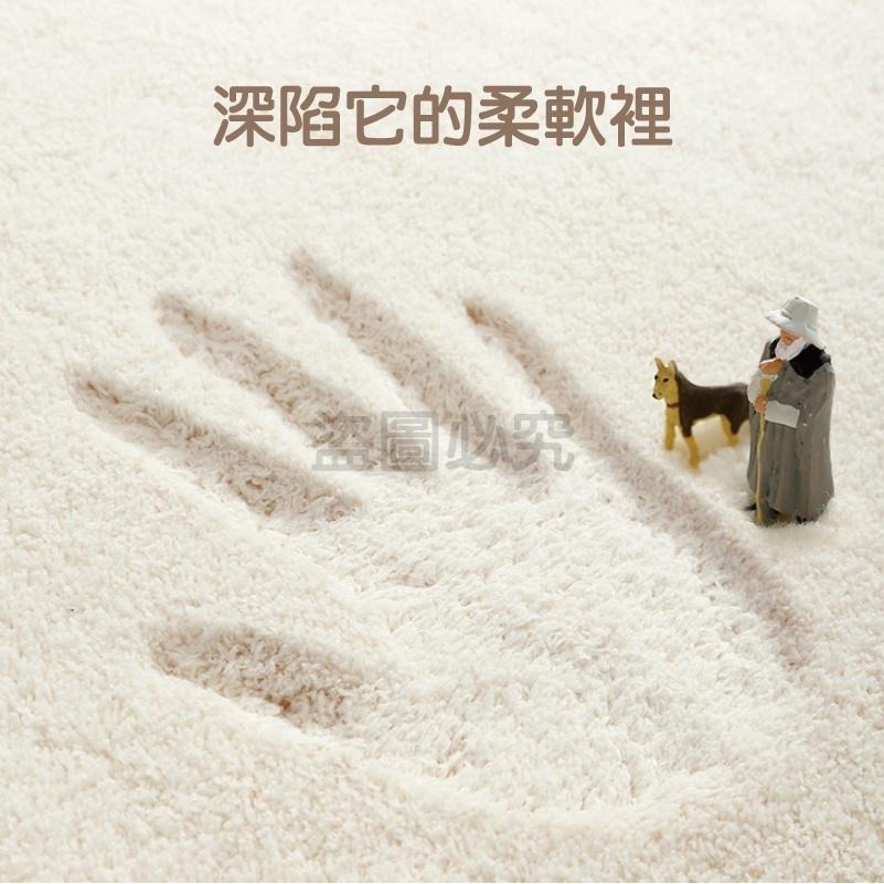 🔥加厚地墊🔥飯店地墊 羊羔絨床邊地墊 保暖地墊 羊羔絨地毯 加厚羊毛絨地墊 絨毛踏墊 沙發防滑墊 腳踏墊 北歐地墊-細節圖6