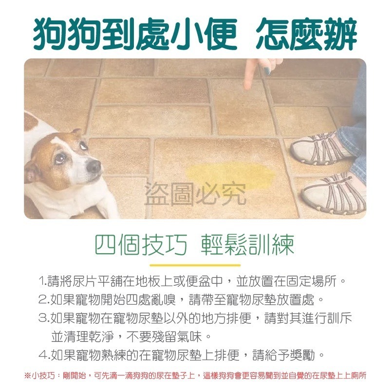 🔥超低價🔥寵物隔尿墊 可水洗尿墊 寵物尿墊 狗尿布墊 狗狗防尿墊 寵物防尿墊 防水尿墊 防滑隔尿墊 寵物尿布墊-細節圖4