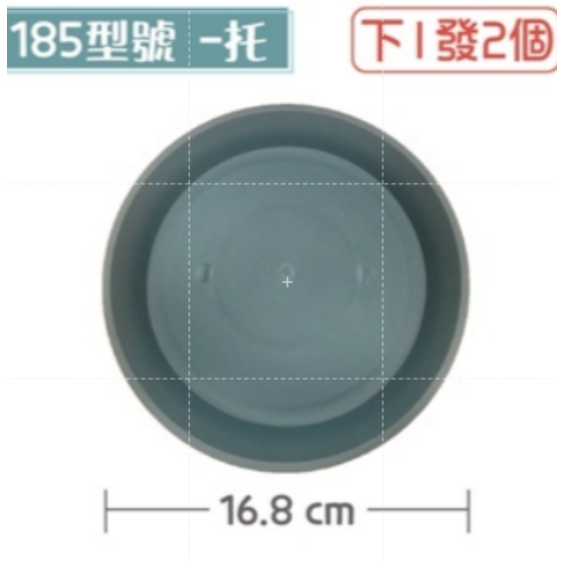 185 <2個> 【托盤】青山控根