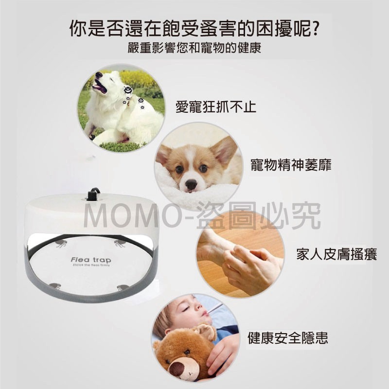 🔥台灣現貨🔥跳蚤誘捕器捕跳蚤 除蚤器除蚤用品除蚤神器 寵物除蟲 驅蟲 跳蚤燈跳蚤用品 補蚤 寵物除蚤 安全無毒-細節圖5