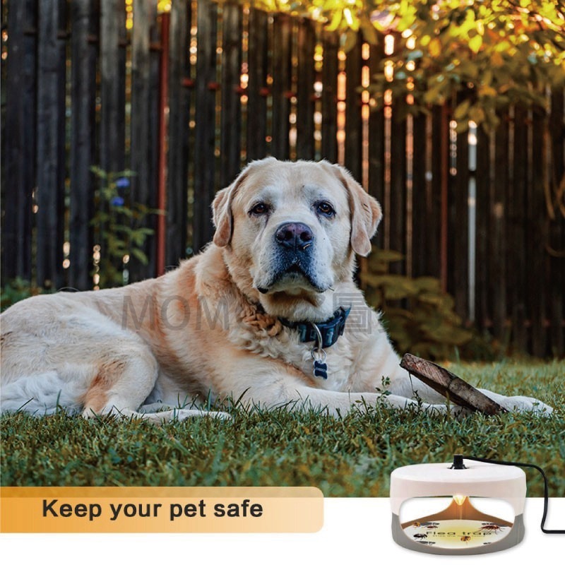 🔥台灣現貨🔥跳蚤誘捕器捕跳蚤 除蚤器除蚤用品除蚤神器 寵物除蟲 驅蟲 跳蚤燈跳蚤用品 補蚤 寵物除蚤 安全無毒-細節圖6