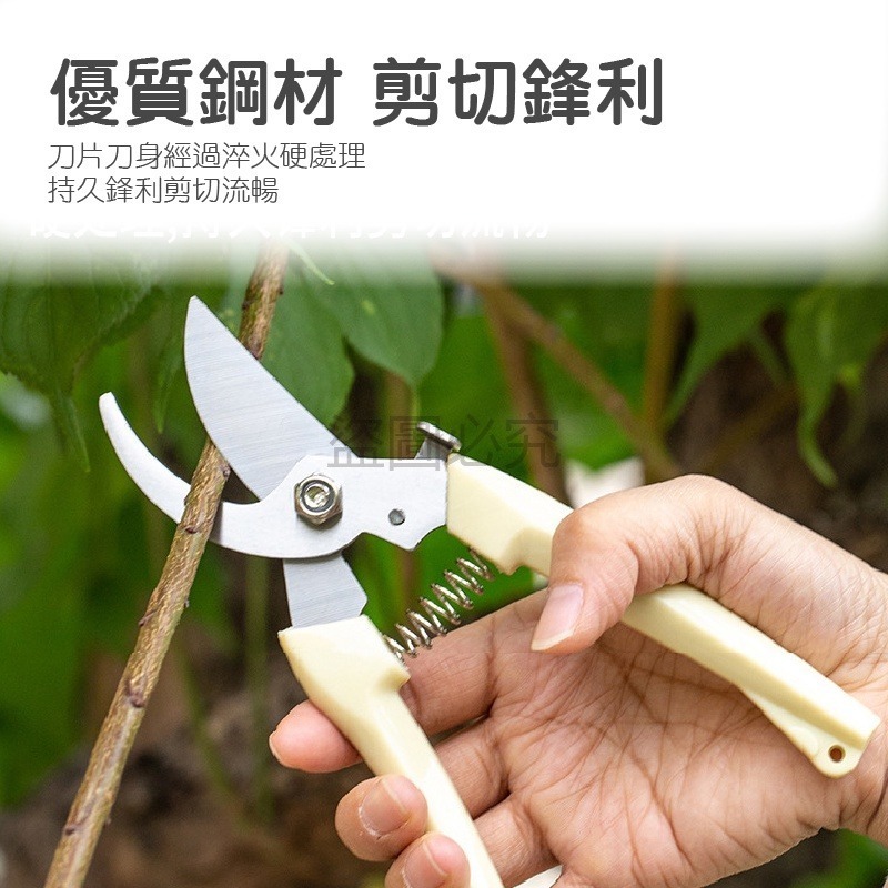 🔥園藝愛好者🔥園藝剪刀 省力 耐用園藝剪 盆栽修剪修枝剪 剪定鋏 花剪 花園剪刀農用剪刀 剪刀 直剪彎剪 摘果剪-細節圖5