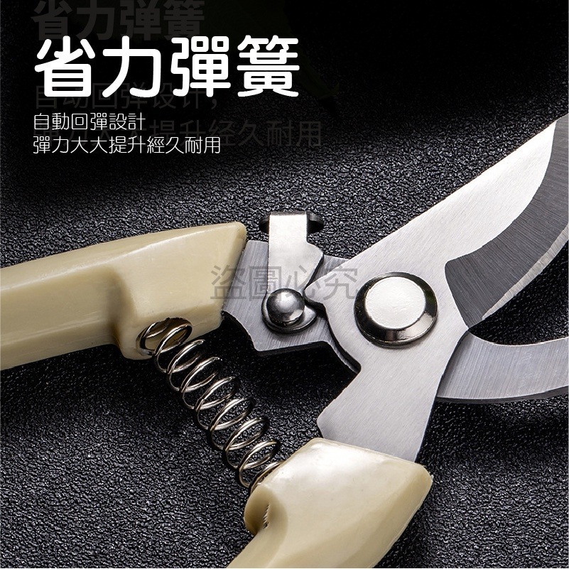 🔥園藝愛好者🔥園藝剪刀 省力 耐用園藝剪 盆栽修剪修枝剪 剪定鋏 花剪 花園剪刀農用剪刀 剪刀 直剪彎剪 摘果剪-細節圖6