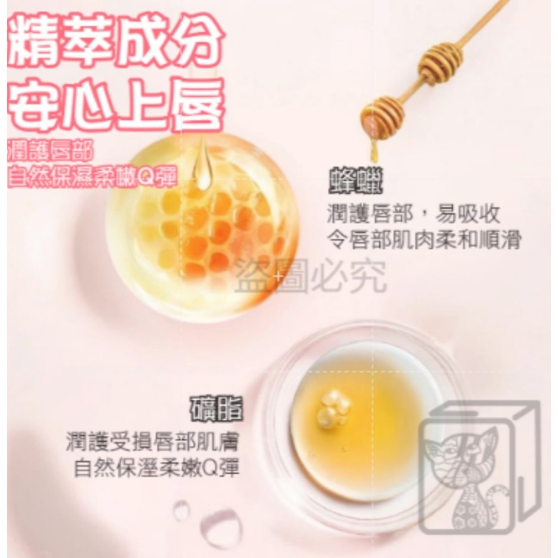 🔥防乾裂🔥韓泊莉凡士林護脣膏 潤唇膏 潤色護唇膏 保濕護脣膏 滋潤護唇膏 護唇膏 無色護唇膏 唇部打底 薄荷護唇膏-細節圖5