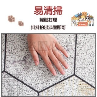 🔥刮沙除泥🔥卡通絲圈地墊 刮泥絲圈地墊 刮泥地墊 玄關墊 腳踏墊 門口地墊 刮泥蹭土地墊 地墊 玄關地毯 大尺寸地墊-細節圖4