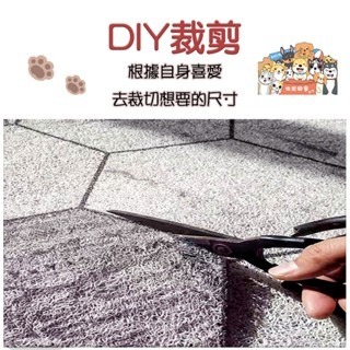 🔥刮沙除泥🔥卡通絲圈地墊 刮泥絲圈地墊 刮泥地墊 玄關墊 腳踏墊 門口地墊 刮泥蹭土地墊 地墊 玄關地毯 大尺寸地墊-細節圖9