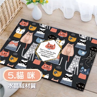 5.貓咪 卡通地墊(絨布材質)