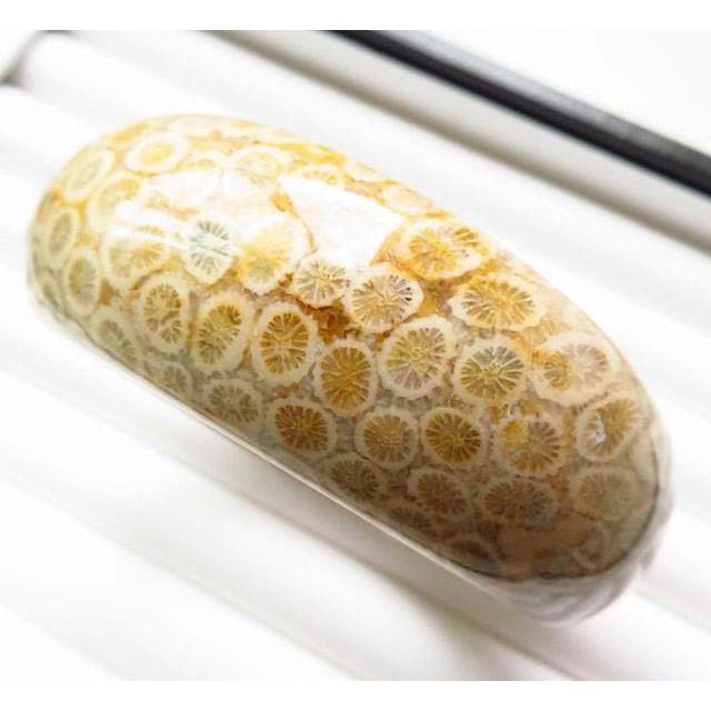 18.72圍珊瑚玉手環超稀有億萬年的海底化石超美油亮天然菊花石菊花玉手鐲玉鐲鐲子花型珠寶玉石首飾飾品有機寶石-細節圖4