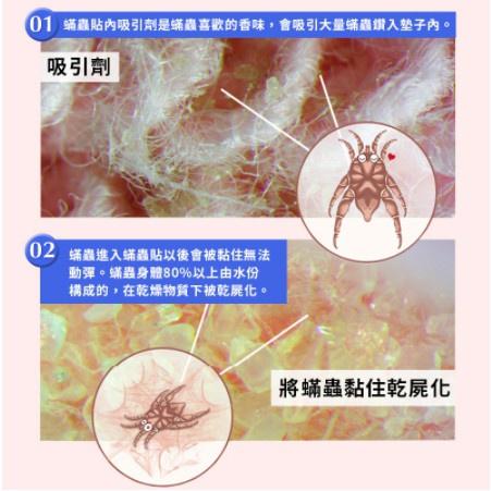 🍀若隱百貨🍀 日韓熱銷 除塵螨片(單片) 消除塵螨 誘補貼除蟎貼片 補蟎神器 塵蹣片 防蟎墊 【A104】-細節圖5