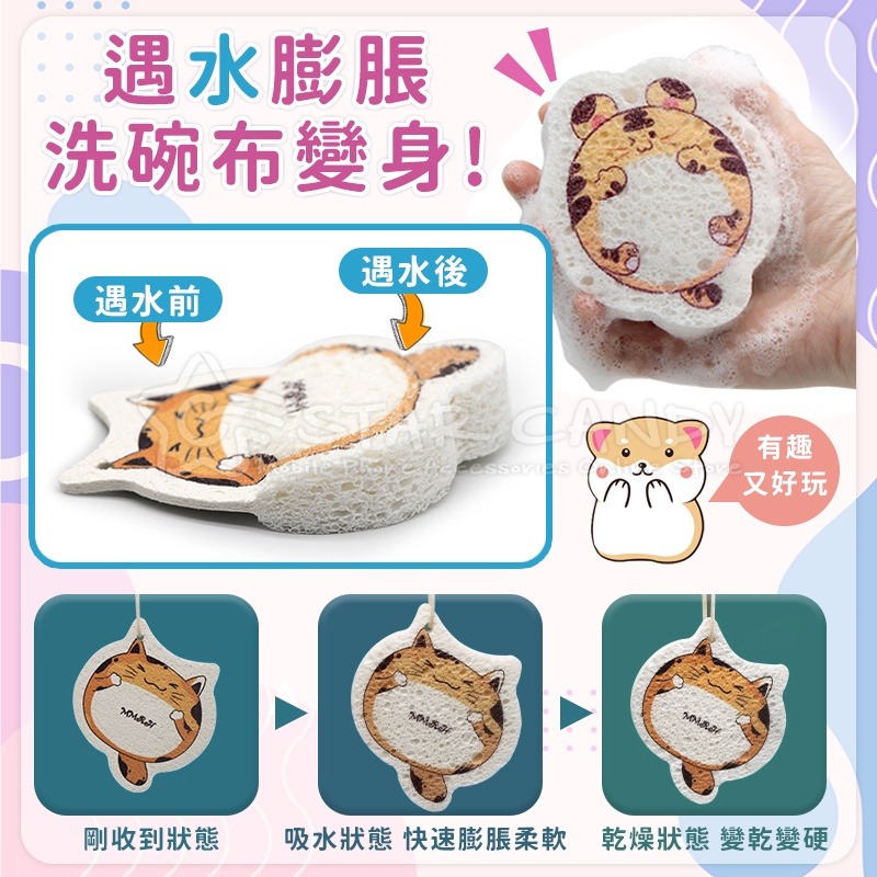 木漿棉洗碗布 菜瓜布 木質纖維洗碗布 造型洗碗海棉 壓縮木漿海綿 洗碗棉 抹布 洗碗巾 吸水海棉【A14-細節圖2