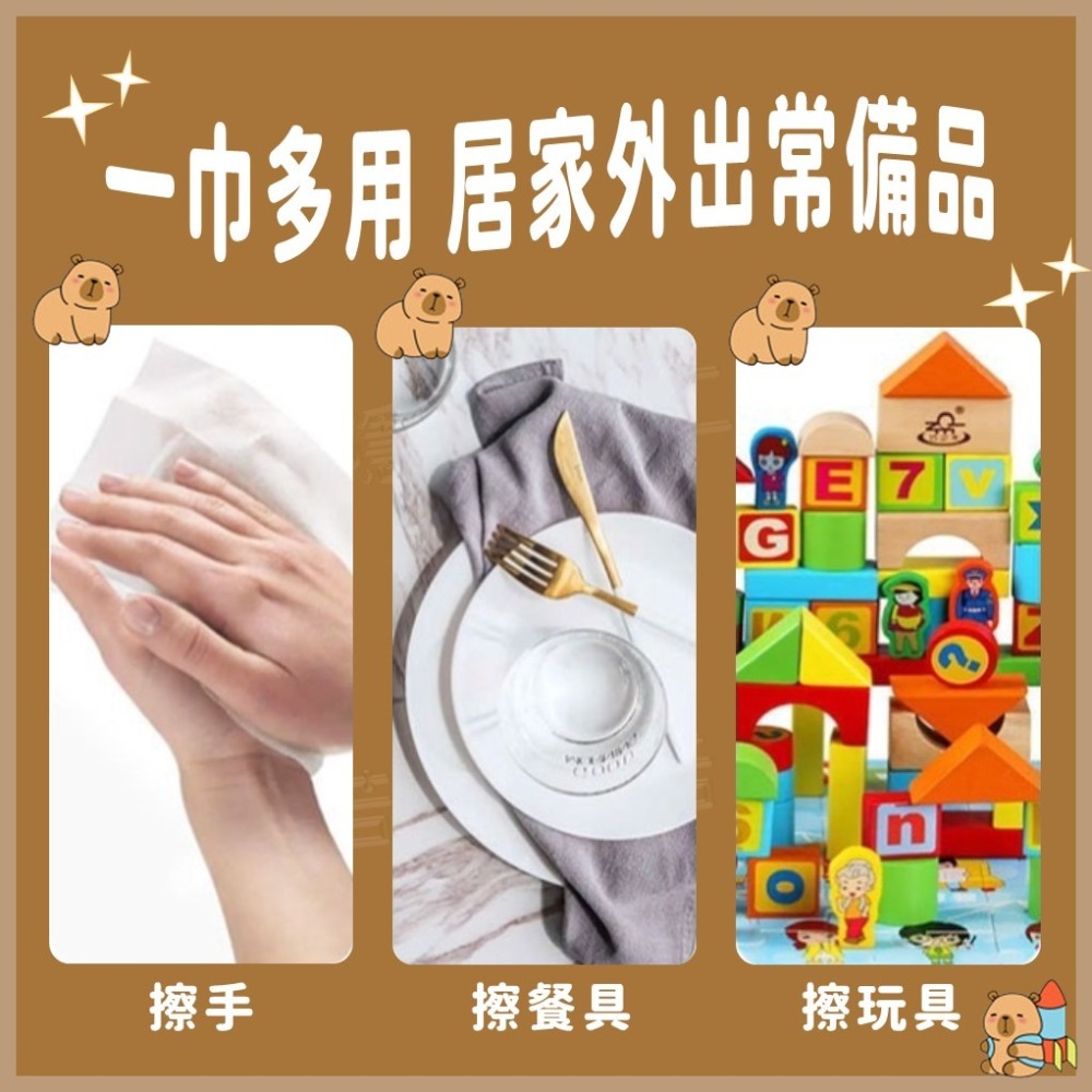 水豚君純水濕紙巾 80抽 柔濕巾 濕巾 濕巾 擦手巾 嬰兒濕紙巾 寶寶濕紙巾 潔膚紙巾 RO 純水-細節圖6