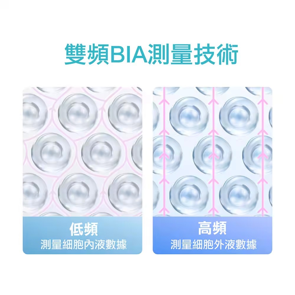 タチビシ八電極家用體脂計(智慧型APP分析/智能體重計/藍牙體脂計/電池式體脂計/體脂秤)TM-6700-細節圖3