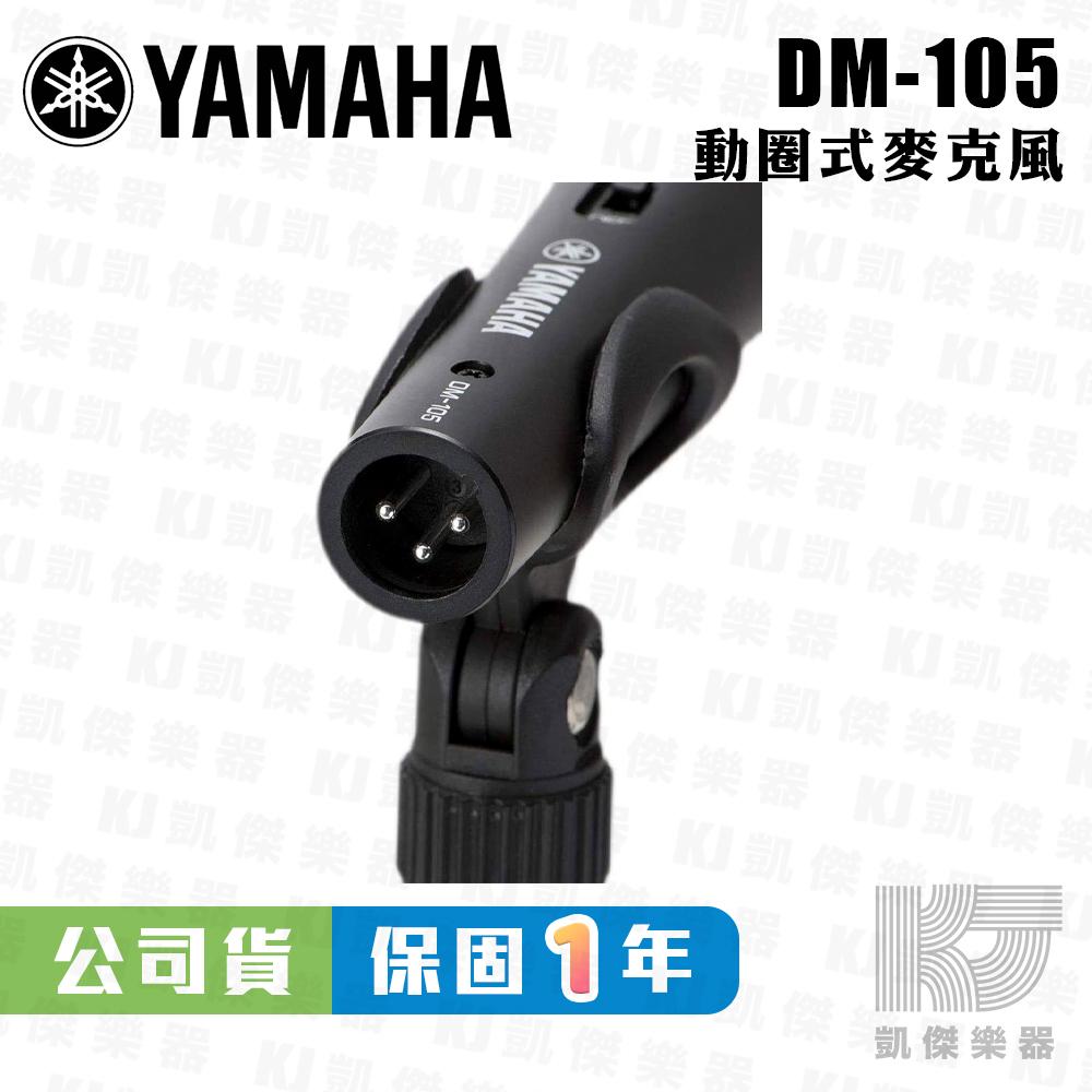 YAMAHA 山葉 DM-105 動圈式麥克風 附5M麥克風線 原廠公司貨 DM105【凱傑樂器】-細節圖3