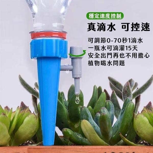 自動澆水器 自動澆花 澆花器 自動灌溉 澆花神器 園藝 澆水 園藝澆花 懶人澆花 灑水定時器 自動澆花器 定時澆花器-細節圖4