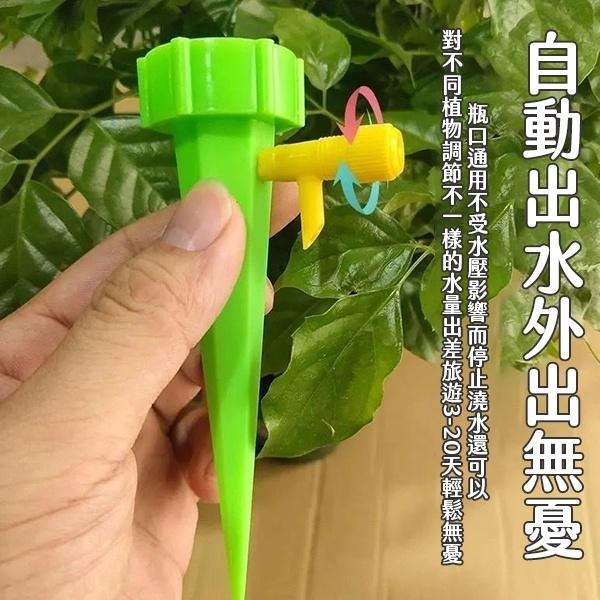 自動澆水器 自動澆花 澆花器 自動灌溉 澆花神器 園藝 澆水 園藝澆花 懶人澆花 灑水定時器 自動澆花器 定時澆花器-細節圖6