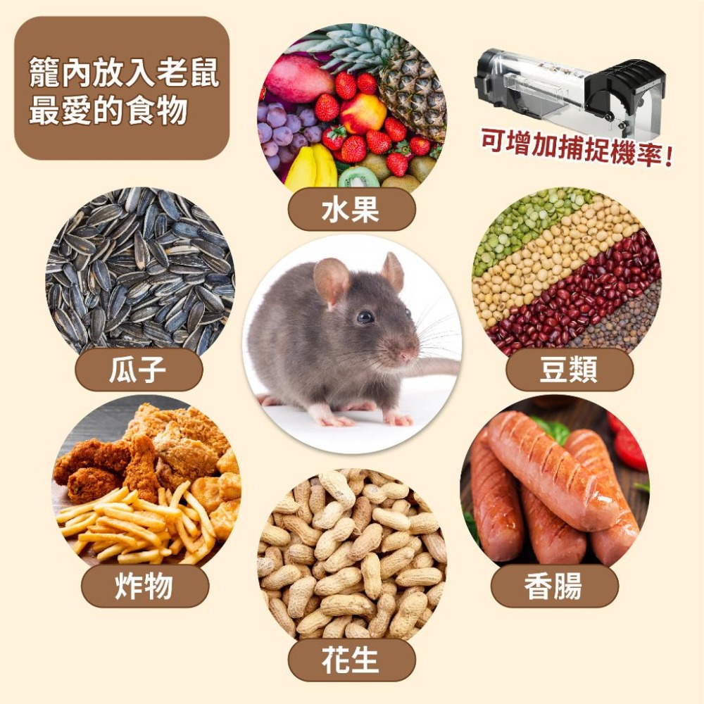 鼠洞式捕鼠器 捕鼠夾 捕鼠籠 捕鼠器 捕鼠神器 滅鼠 驅鼠 老鼠籠 自動捕鼠夾 自動捕鼠夾 老鼠屋 抓老鼠 驅鼠神器-細節圖7