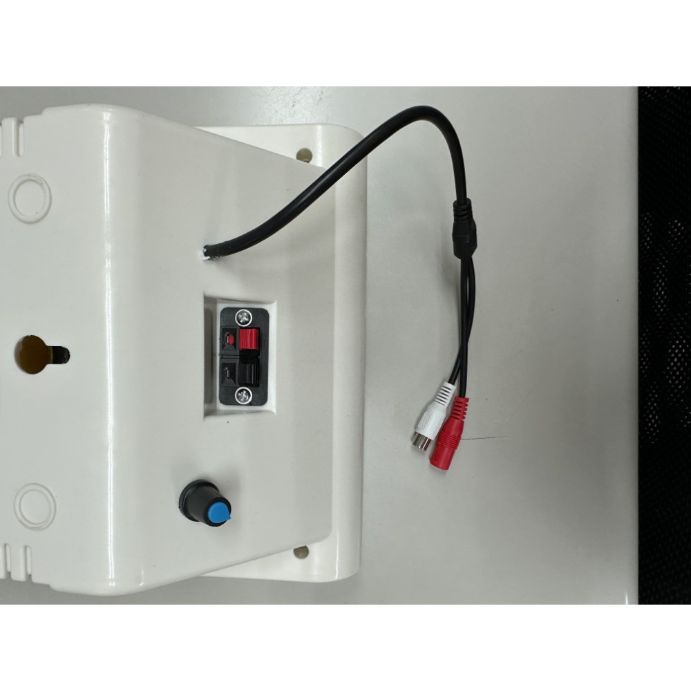 廣播音箱 廣播喇叭 壁掛喇叭 魔音箱 電話喇叭 電話廣播 總機擴音 總機喇叭 擴音箱-細節圖2
