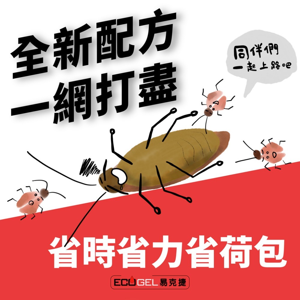 ECOGEL易克捷除蟑餌膠10g 蟑螂藥-細節圖2