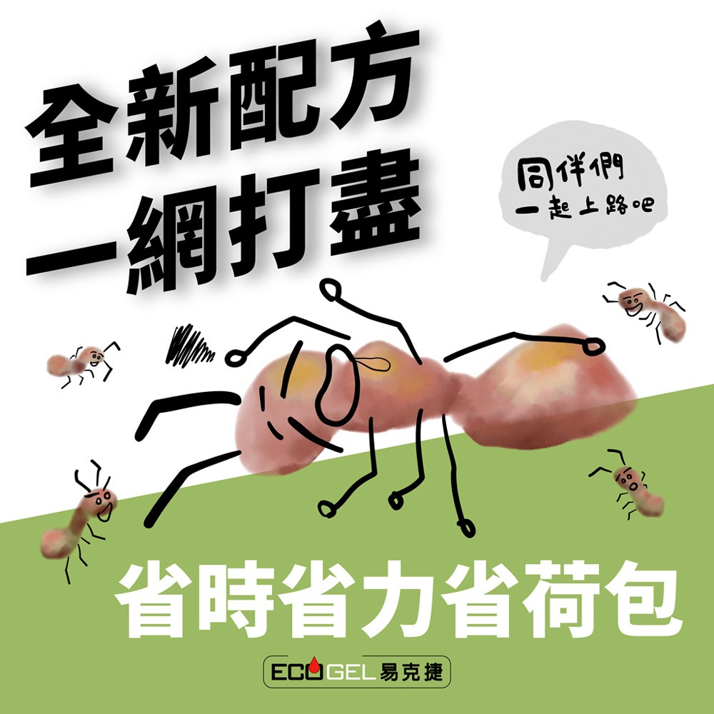ECOGEL易克捷除蟻餌膠10g 螞蟻藥-細節圖2