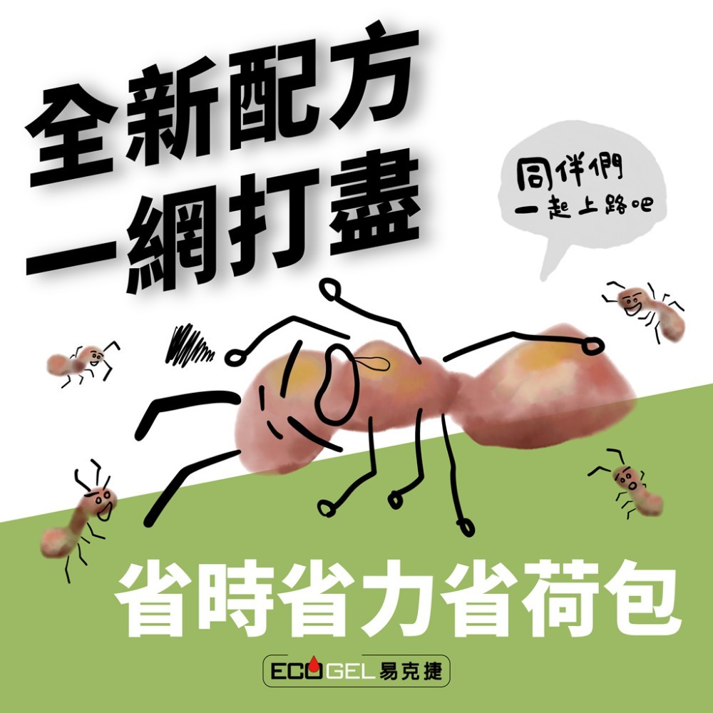 ECOGEL易克捷除蟻盒15g 螞蟻藥-細節圖4
