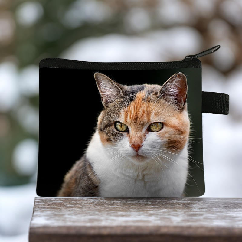 (當日出貨)零錢包 貓咪零錢包 拉鏈包 錢包 貓奴 貓星人 猫咪零錢包 猫星人 貓零錢包 可愛零錢包(CA008)-細節圖3