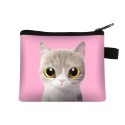 (當日出貨)零錢包 貓咪零錢包 拉鏈包 錢包 貓奴 貓星人 猫咪零錢包 猫星人 貓零錢包 可愛零錢包(CA008)-規格圖8