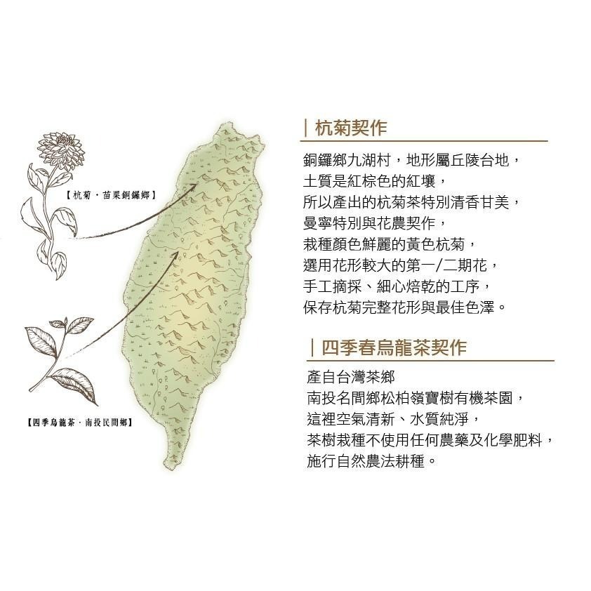 ~* 平安喜樂 *~曼寧 烏龍菊花茶 1.5公克x15入 40入-細節圖2