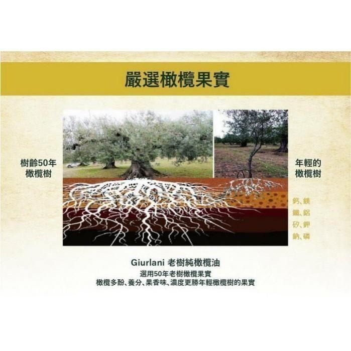 ~* 平安喜樂 *~義大利 Giurlani 老樹特級初榨橄欖油(2000ml)-細節圖3