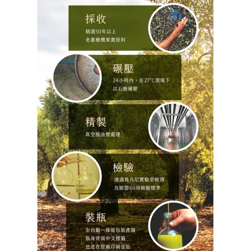 ~* 平安喜樂 *~義大利  2L 喬凡尼 Giurlani 老樹純橄欖油 超取限二瓶-細節圖3