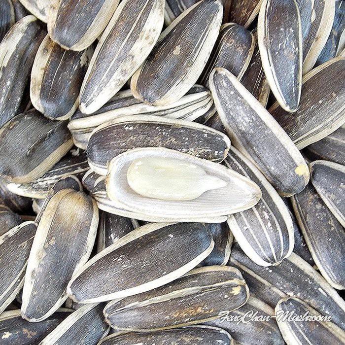 水煮瓜子 葵瓜子(300公克裝)多種口味~~ 閒嗑、聊天、看電視、泡茶必備。-細節圖2