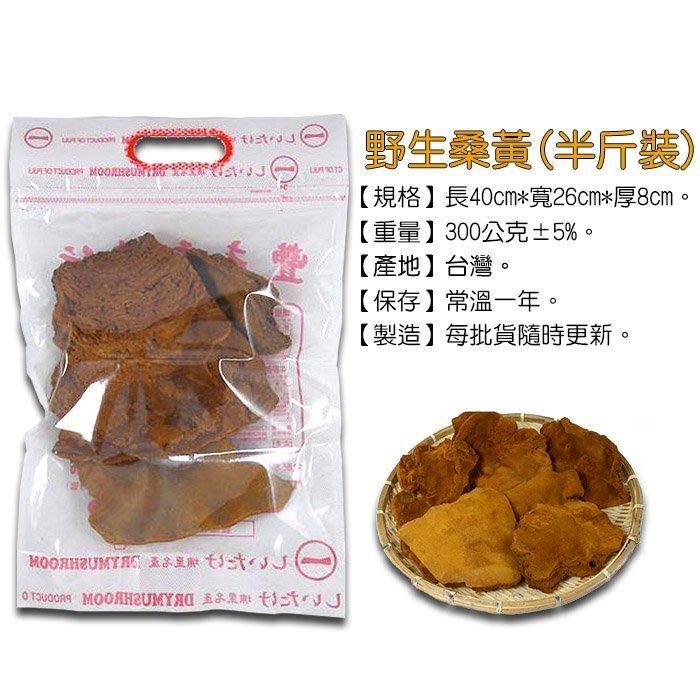 野生桑黃~含有多種營養成分， 野生的，適合煮成茶來喝。-細節圖2