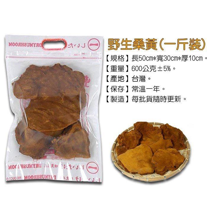 野生桑黃~含有多種營養成分， 野生的，適合煮成茶來喝。-細節圖3