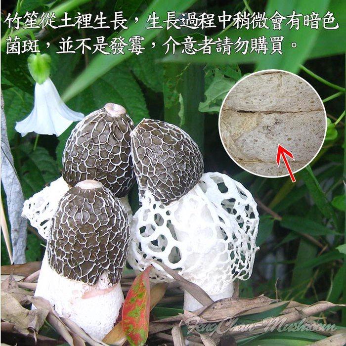 竹笙(小包裝)~ 檢驗合格，無漂白，無硫磺，高級食材煮湯讚，又名網紗菌、仙人笠 。-細節圖4
