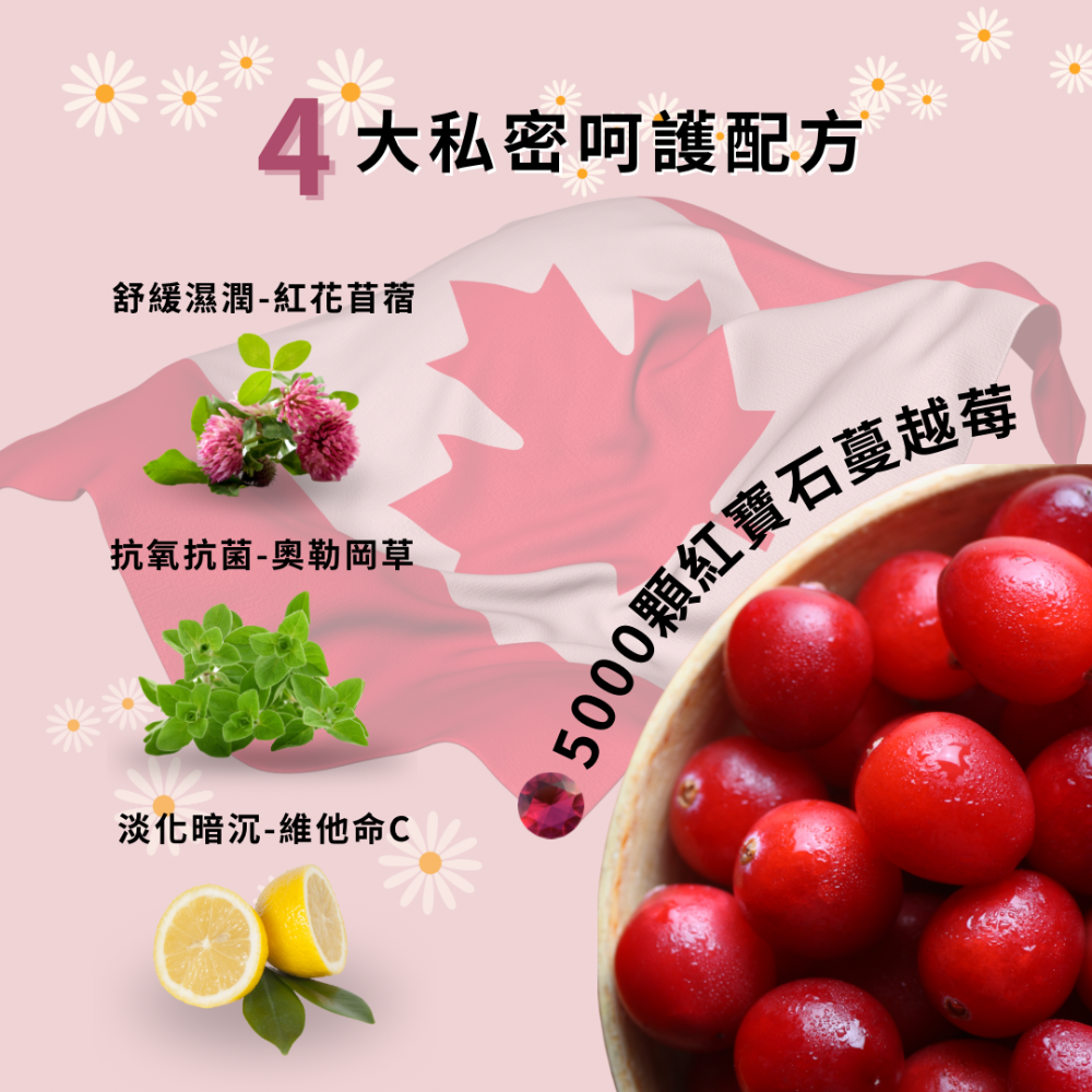 【純素可食】加拿大NEW ROOTS高濃縮107倍蔓越莓30粒-細節圖3