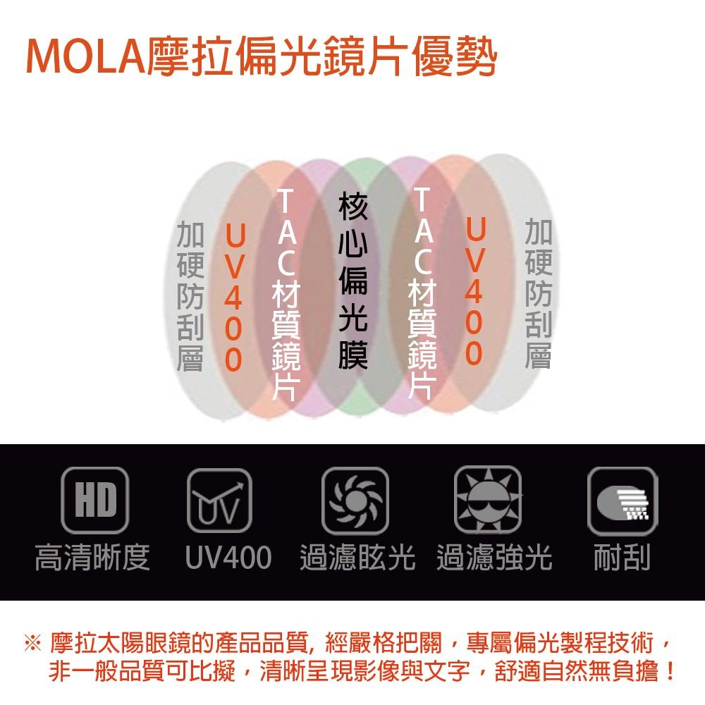 MOLA 摩拉近視偏光太陽眼鏡 男女 超輕量 開車 UV400 黑框 茶片 3620Tblb-細節圖6