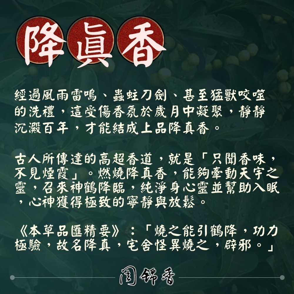 A級降真香【周錦香】1斤裝 尺3/尺6 沉水級 單方 重油【網路特惠$320】(立香 招財 求財 開運 線香 招財香)-細節圖2