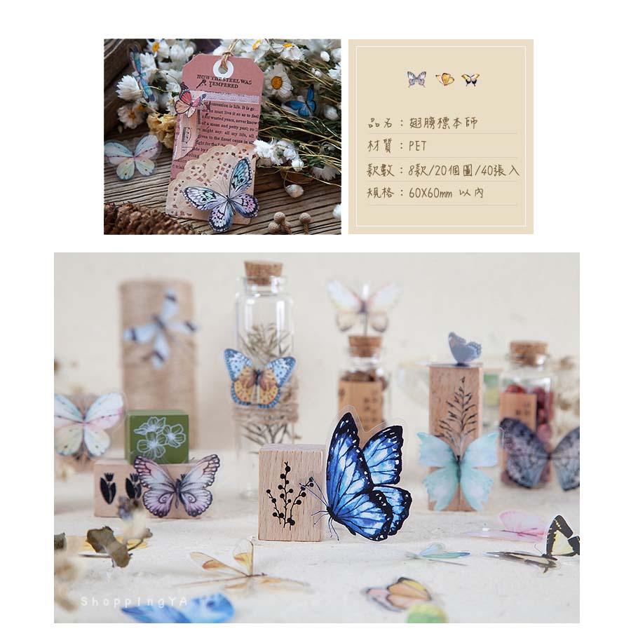 日日玩髮　翅膀標本師系列貼紙40張入8款 PET蝴蝶貼紙蜻蜓貼紙 DIY貼畫筆記本日記本裝飾貼紙 標籤貼紙-細節圖2