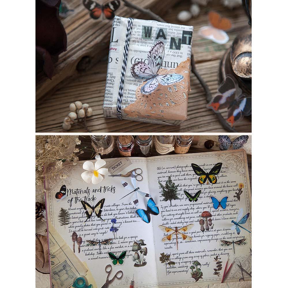 日日玩髮　翅膀標本師系列貼紙40張入8款 PET蝴蝶貼紙蜻蜓貼紙 DIY貼畫筆記本日記本裝飾貼紙 標籤貼紙-細節圖4