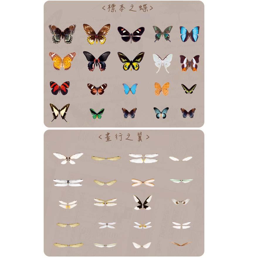日日玩髮　翅膀標本師系列貼紙40張入8款 PET蝴蝶貼紙蜻蜓貼紙 DIY貼畫筆記本日記本裝飾貼紙 標籤貼紙-細節圖6