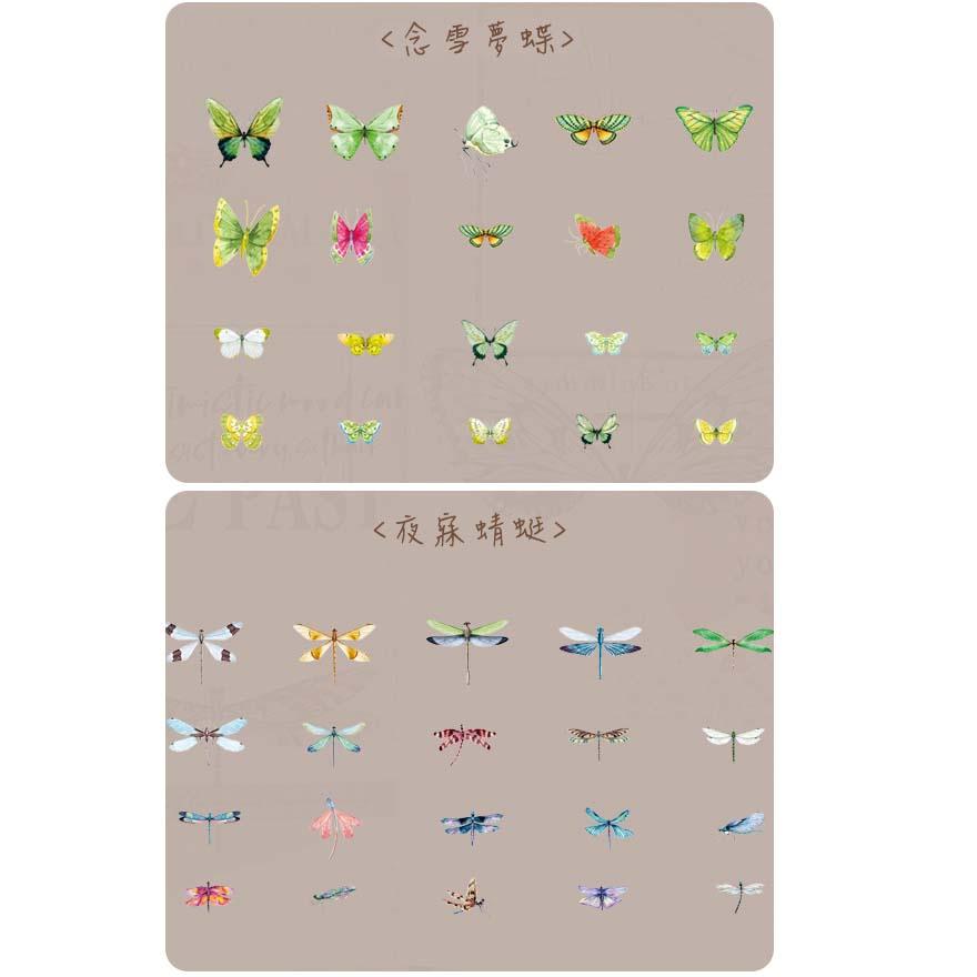 日日玩髮　翅膀標本師系列貼紙40張入8款 PET蝴蝶貼紙蜻蜓貼紙 DIY貼畫筆記本日記本裝飾貼紙 標籤貼紙-細節圖7
