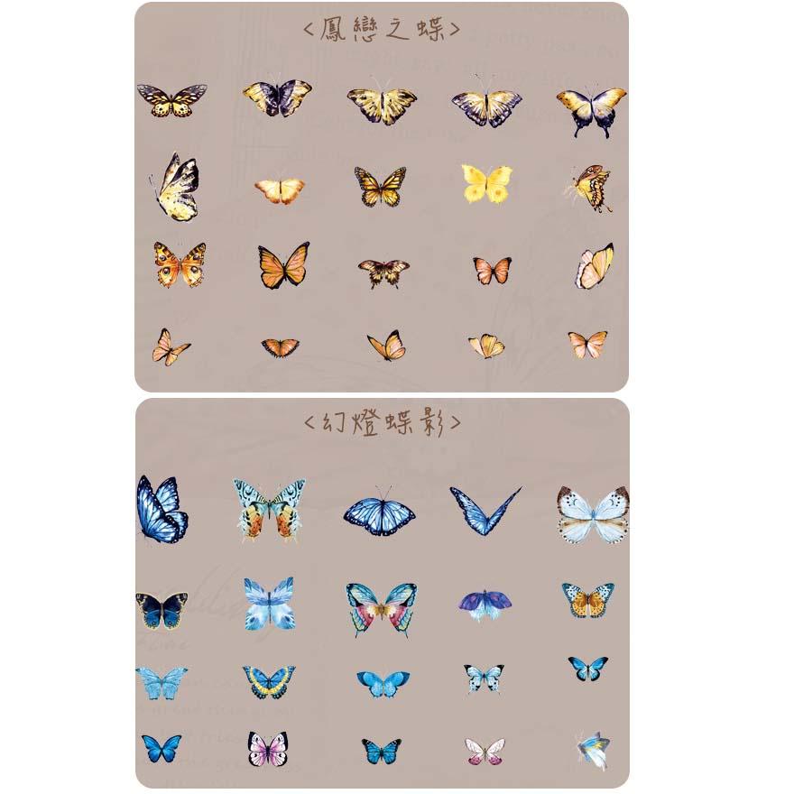 日日玩髮　翅膀標本師系列貼紙40張入8款 PET蝴蝶貼紙蜻蜓貼紙 DIY貼畫筆記本日記本裝飾貼紙 標籤貼紙-細節圖8
