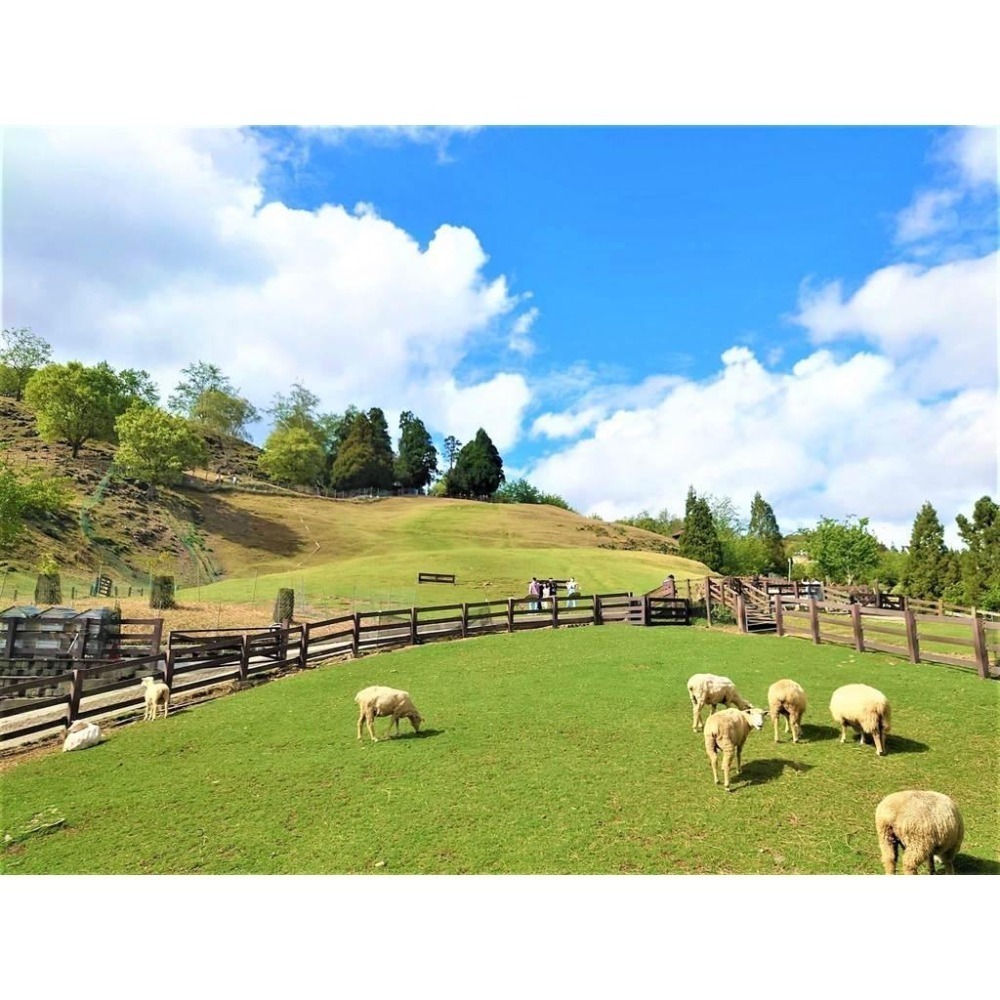 台灣上網 台灣上網卡10GB 九份老街平溪清淨農場 故宮花蓮南投台灣旅遊 台北台中高雄 中華電信遠傳台哥大5G【樂上網】-細節圖4