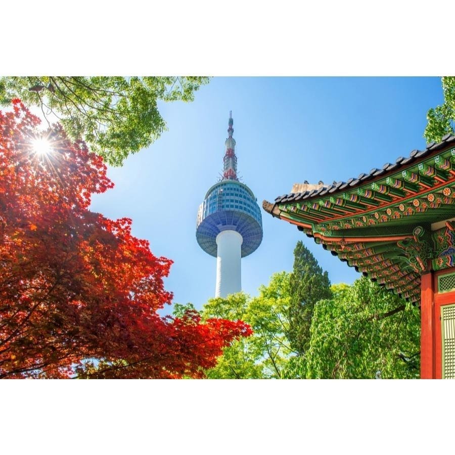 日本韓國 郵輪上網eSIM 日韓短天期上網 橫濱富山敦賀 境港釜山鹿兒島 長崎濟州 歌詩達莎倫娜 鑽石公主號【樂上網】-細節圖8