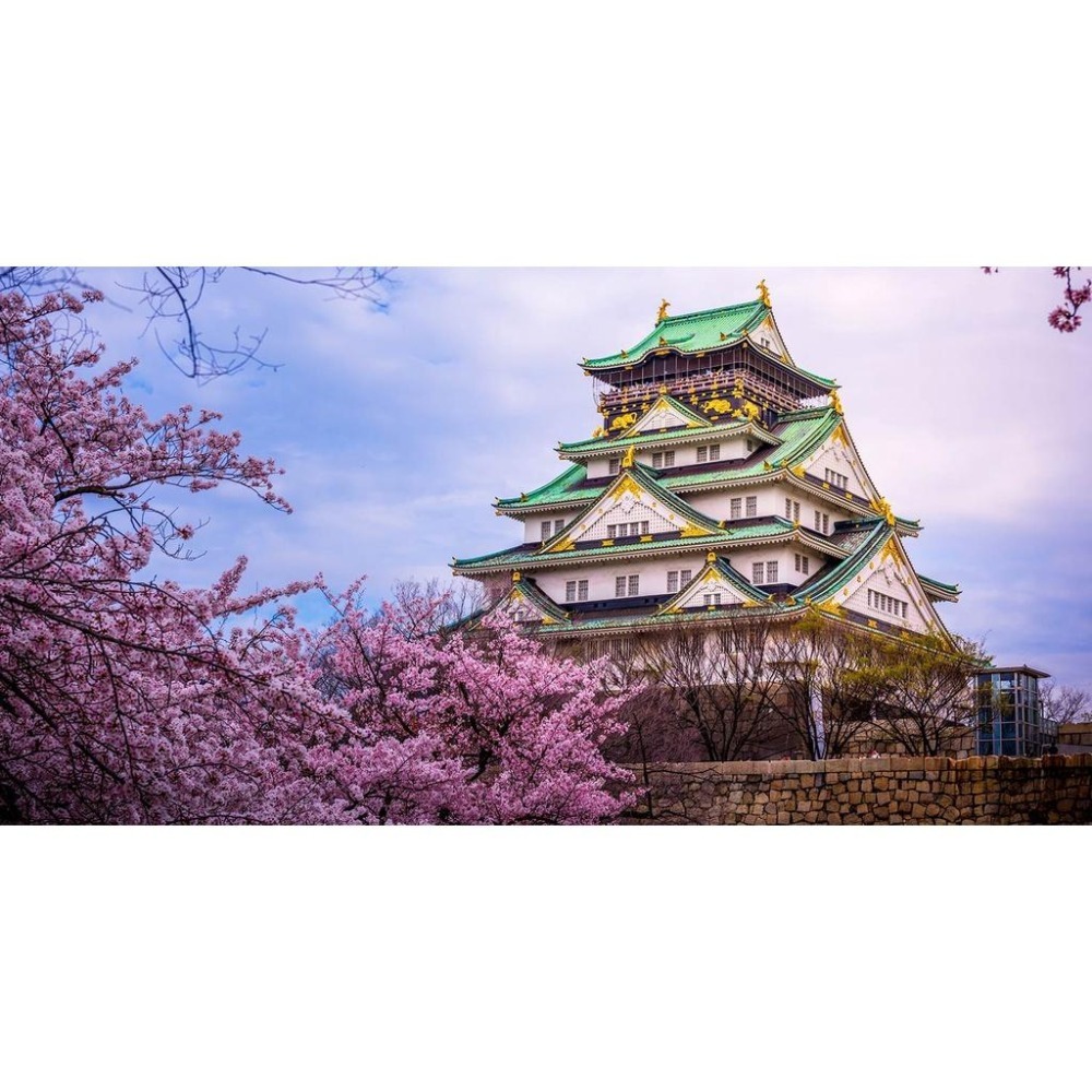 eSIM數位卡 亞洲8天5GB虛擬卡 泰國 印尼越南 日本南韓 新加坡馬來西亞 寮國柬埔寨 (非實體上網卡)【樂上網】-細節圖2