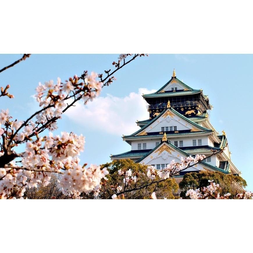 亞洲上網卡10天10GB 印度不丹約旦 尼伯爾阿曼卡達汶萊孟加拉 以色列印尼吉爾吉斯 尼泊爾澳洲關島巴林上網卡【樂上網】-細節圖5