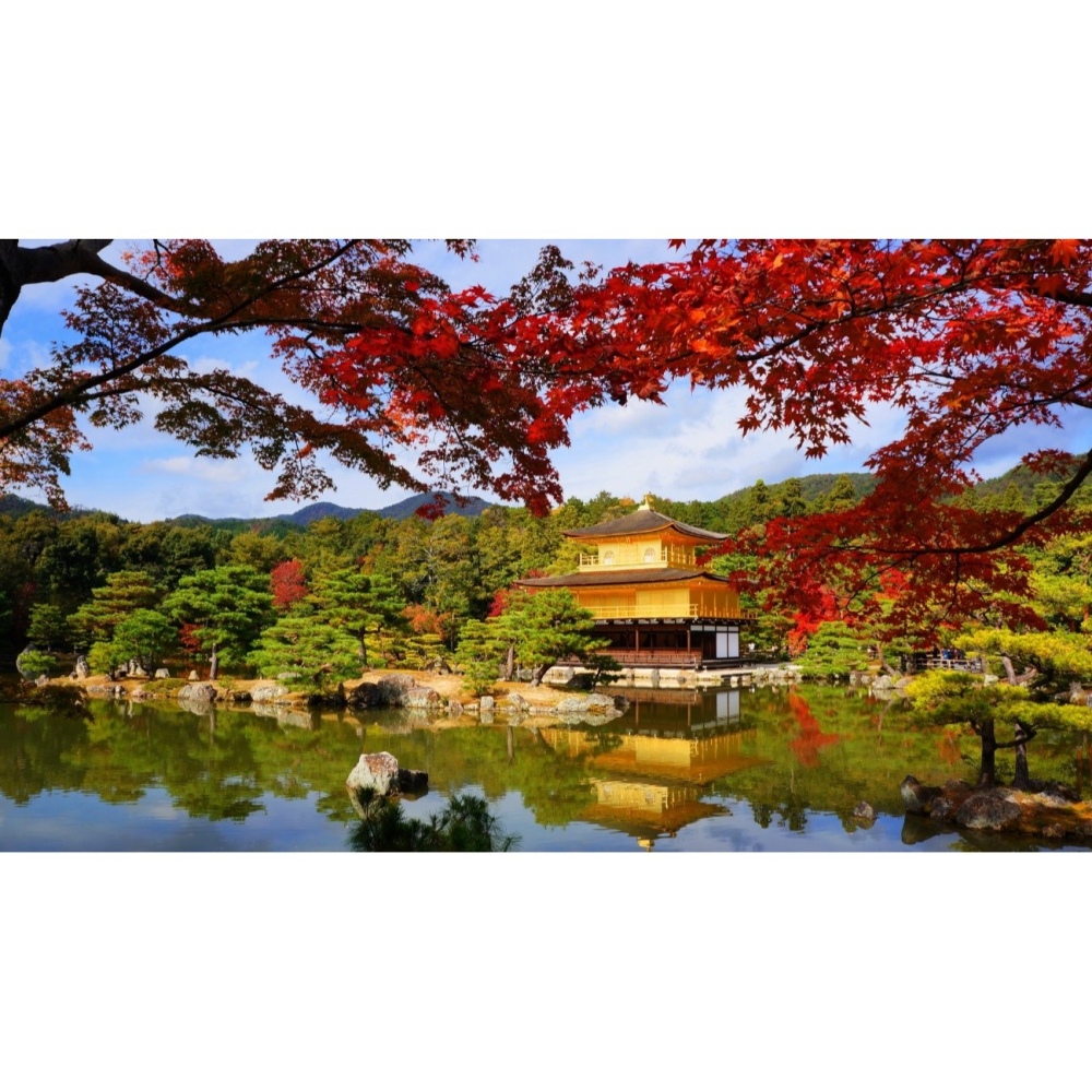 日本上網eSIM 1天~30天任選 日本網卡 旅遊網卡 京都奈良 東京大阪 北海道沖繩 日本雙電信上網吃到飽【樂上網】-細節圖2