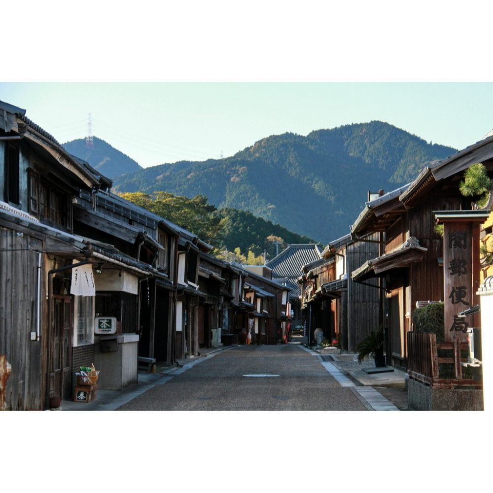 日本上網eSIM 1天~30天任選 日本網卡 旅遊網卡 京都奈良 東京大阪 北海道沖繩 日本雙電信上網吃到飽【樂上網】-細節圖3