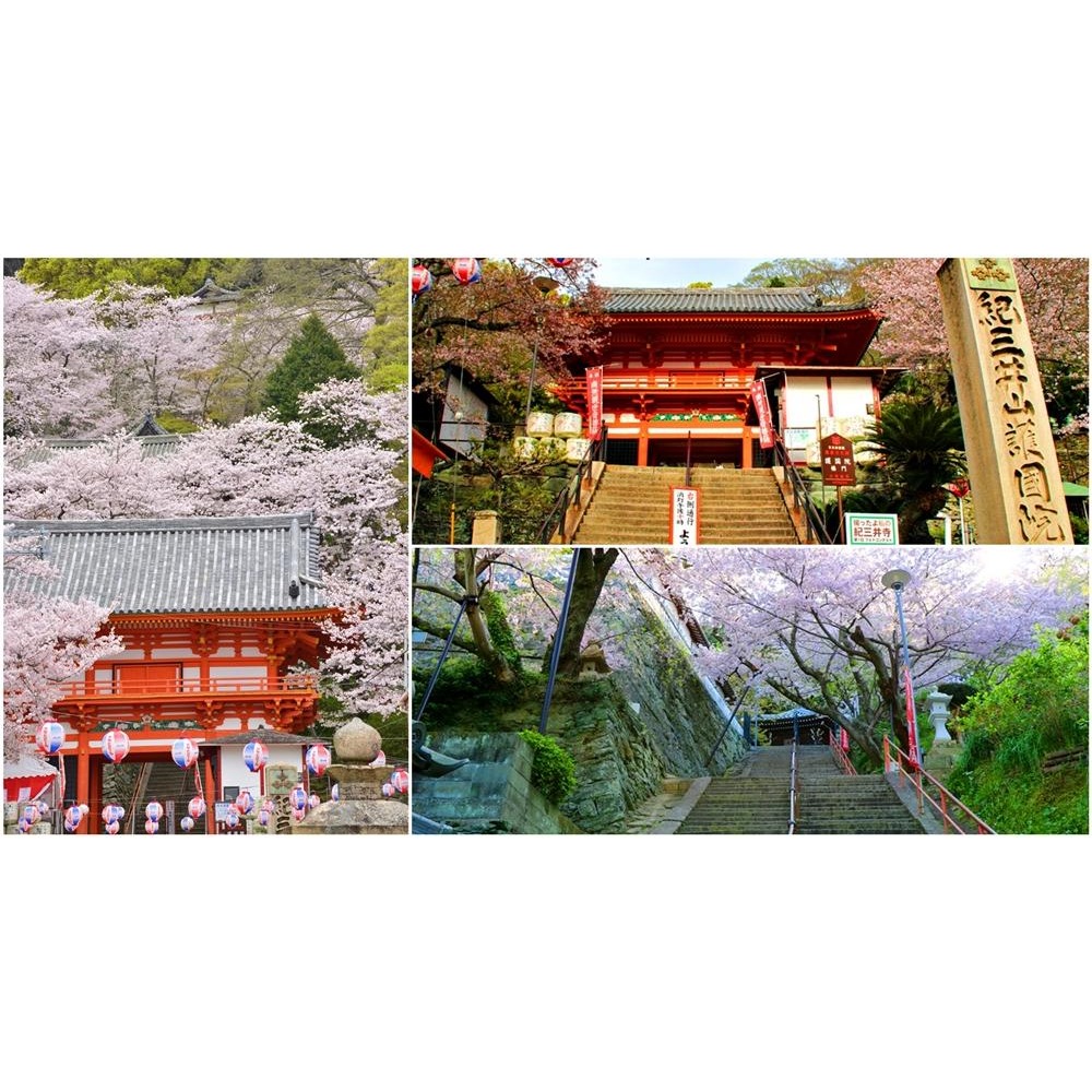 日本上網eSIM 1天~30天任選 日本網卡 旅遊網卡 京都奈良 東京大阪 北海道沖繩 日本雙電信上網吃到飽【樂上網】-細節圖4