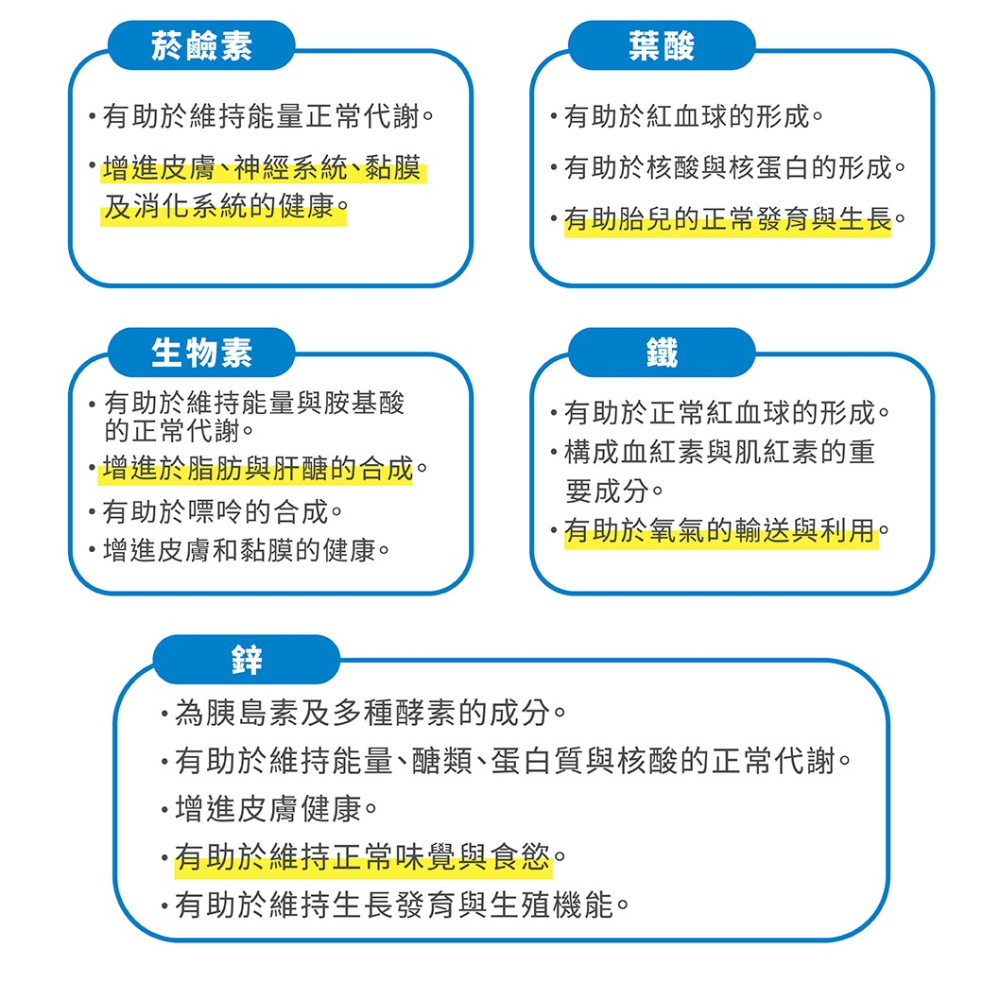 【五洲生醫】歐洲草高效維他命B群膠囊  1瓶、3瓶、5瓶-細節圖6